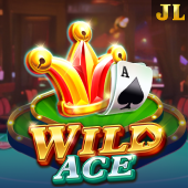 Wild Ace 777 slots casino